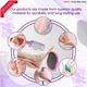 Majestique Glass Foot Scrubber And Foot Scraper, Comfortable Foot Care Tools - Multicolors 2's - Manicure & Pedicure Kits