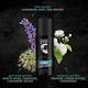 Beardo Mariner Captain Jack Perfume Deo Spray - Strong & Long Lasting 40 ml - Men Deodorants/Roll-Ons