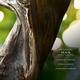 Bvlgari Man Wood Essence Eau de Parfum 100 ml - Men Perfumes (Edt/Edp)