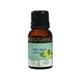 Soulflower Essential Oil - TeaTree 15 ml - Essential Oils