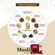 LifeZen Muslizen Vitality and Stamina Capsule 10's - Other Supplements