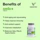 Vedistry Amla+ Tablet 60's (Buy 2 Get 1 Free) - Speciality Medicines