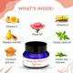 Glamveda Blush Vitamin C and E Night Cream 50 ml - Face Moisturizers