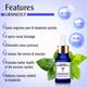 Keya Seth Aromatherapy Graine Out- Headache Reliever 10 ml - Essential Oils