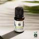 Anveya Bulgarian Lavender Essential Oil 15 ml - Essential Oils