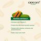 Odeon Face Wash Turmeric + Lemon + Papaya + Neem X 4Pcs 200 ml - Face Wash & Cleansers