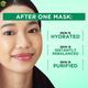 Garnier Skin Naturals, Green, Face Serum Sheet Mask (Green) 32 Gm - Masks & Peels