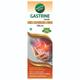 Amrith Noni Gastrine Liquid 150 ml - Digestive Care