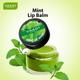 Vaadi Herbals Lip Balm - Mint 10 gm - Lip Balms