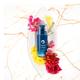 Oceglow Face Serum for Youthful & Radiant Skin Women & Men, With Gold Vitamin Complex & Ceramides 30 ml - Face Serum