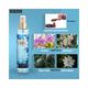 Ital Veloce Sea Island Temptation Fine Fragrance Mist 210 ml - Body Mist/Spray