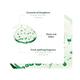 Rene Furterer Forticea Energizing Shampoo 250 ml - Shampoos