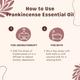 Essentia Extracts Frankincense Essential Oil 15 ml - Essential Oils