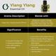 Organic Forest 100% VEGAN Ylang Ylang Essential Oil 10 ml - Essential Oils