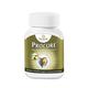 Pravek Procure Tablets 30's - Speciality Medicines