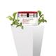 Yves Rocher Serum Vegetal Wrinkles & Firmness - Plumping Care Day 50 ml - Face Creams