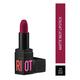 Chambor Matte Riot 258 - Wild Rose 4.5 gm - Lipsticks