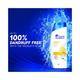 Head & Shoulders Lemon Fresh Anti Dandruff Shampoo 180ml - Shampoos