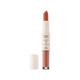 Mua Multi Lip Matte Lipstick and Gloss Duo - Cozy (3.2gm, 2ml) 1's - Lipsticks