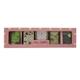 Nyassa Rose Collection Soaps (Pack of 5 x 150 gm) - Soaps
