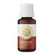 House of Aroma Cinnamon Fragrance Oil 10 ml - Carrier Oils