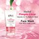 Globus Naturals Herbal Pimple Clear Glycolic and 1% Salicylic Acid Face Wash, 75gm each 2's - Face Wash & Cleansers