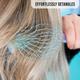 Majestique Large Detangler Hair Brush, Refresh and Extend, Soft Nylon Bristles - Color May Vary 1's - Hair Brushes