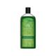 The Man Company Aloe Vera & Matcha Body Wash 200 ml - Shower Gels & Body Wash
