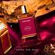 Albatross Lord Of Oud Eau De Parfum 100 ml - Perfumes (Edt/Edp)
