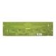 Nyassa Middle Eastern Soaps Gift Set (Pack of 5 x 150 gm) - Soaps