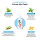 Capt. Zack Excuse Me Fleas Shampoo 500 ml - Pet Healthcare