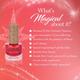 Colorbar Nail Kit - Magical Colors of The Week 56 ml - Nail Polish