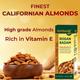 Vansaar 45+ Rogan Badam Sweet Almond Oil 100 ml - Speciality Medicines