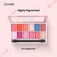 Mars Poco Makeup Palette with Eyeshadow, Compact, Highlighter and Blush - 02 20 gm - Face Palettes