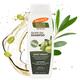 Palmer's Olive Oil formula with Vitamin E Olive Oil Shampoo, Shine Therapy 400ml - Conditioners