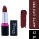 Bonjour Paris Silk Matte Lipstick-Dusky Pink 4.2 gm - Lipsticks