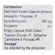 LABMOX 250 Capsule 10's - Bacterial Infections-Pen