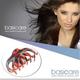 Basicare Claw Clip Large, Shell 11Cm 1's - Hair Clips/Bands