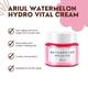 Ariul Watermelon Hydro Glow Cream 55 ml - Face Creams