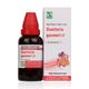 Dr.Willmar Schwabe Guatteria Gaumeri Q Mother Tincture 30 g - Mother Tincture