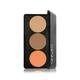 Star's Cosmetics 3 Colors Face Makeup Corrector Palette Concealer for Under Eye Dark Circles, Correct Imperfections, Acne & Blemishes (Medium, Dark, Orange) 15gm - Face Palettes