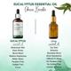 Aravi Organic Nilgiri Eucalyptus Essential Oil 100% Pure Oil 15 ml - Essential Oils