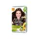 Garnier Color Naturals Creme Riche - Shade 4 Brown (70 ml + 60 gm) - Crème
