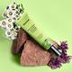 Quench Botanics Matcha Green Tea Moisturizer Controls Acne & Boosts Collagen 75 ml - Day Cream