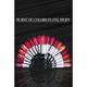 Revlon Colorburst Lipstick Matte - 17 Red Magic 3.7gm - Lipsticks