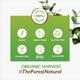 Organic Harvest Organic Amla Oil with Ginseng 150 ml - Hair Oils