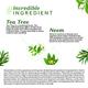 Atulya Tea Tree & Neem Foaming Face Wash 150 ml - Scrubs & Exfoliants