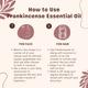 Essentia Extracts Frankincense Essential Oil 15 ml - Essential Oils