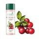 Biotique Winter Cherry Rejuvenating Body Nourisher 190 ml - Lotions & Creams