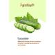 Organic Harvest Face Toner - Green Cucumber 125 ml - Toners